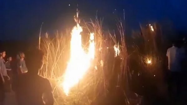 কাশবনে অশ্লীলতার অভিযোগ, আগুনে দিলেন স্থানীয়রা