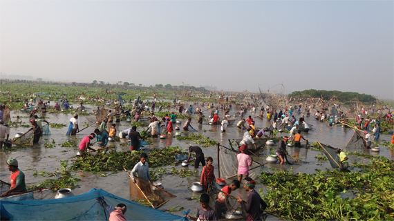 ভাঙ্গুড়ায় বাউত উৎসবে শৌখিন মৎস শিকারীরা
