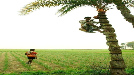 তাড়াশ উপজেলায় হারিয়ে যাওয়ার পথে খেজুরের রস ও খেজুর গুড়