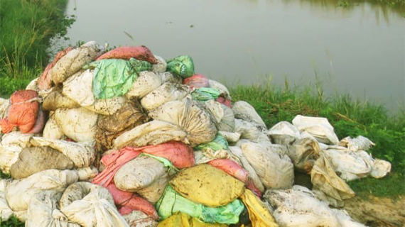 মুরগির বিষ্ঠা মাছের খাবার