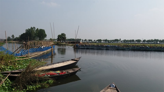 ফরিদপুরে বিলের মুখে সুতিজাল মৌসুমী ফসলে অনিশ্চিত ১ হাজার হেক্টর ফসলী জমি