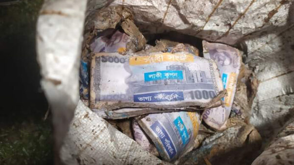 ব্রিজের নিচে মিলল ৬৬ লাখ টাকা!