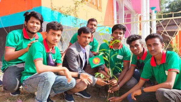 বিজয়ের ৫০ বছর পূর্তিতে টিফিনের টাকায় পাবনা ভাঙ্গুড়ায় লাল সবুজের বৃক্ষরোপণ