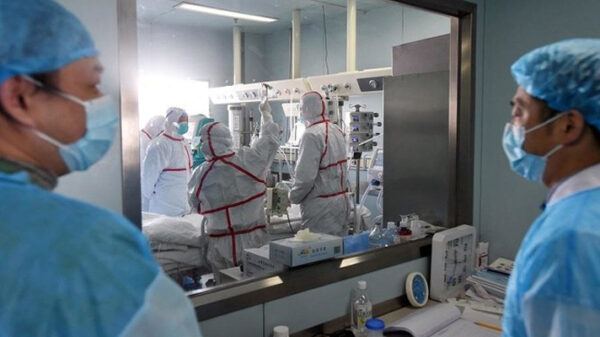 চীনে এবার মানবদেহে বার্ড ফ্লু