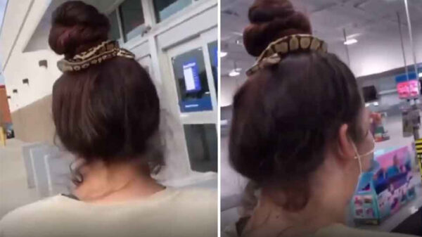 জীবিত সাপ দিয়ে বাঁধলেন চুল, সেভাবেই ঘুরলেন শপিং মলে!